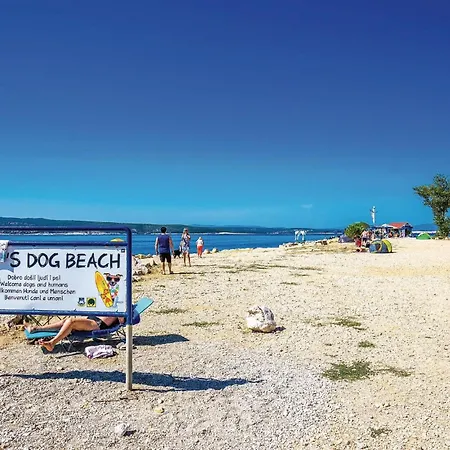 Apartmán In With Wifi *